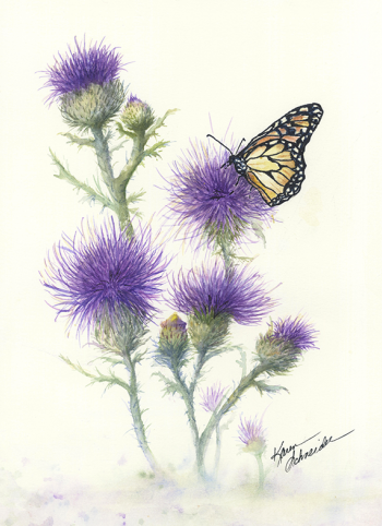 annies thistle