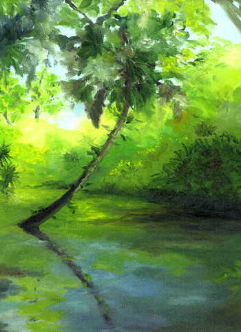 sunny bayou
