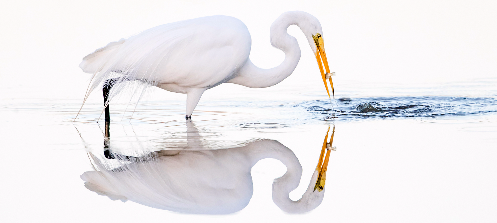 Exceptional Fine Art Printing - We bring your visions to print
